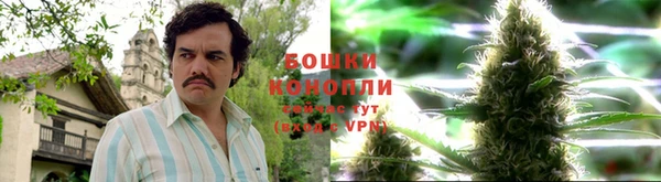 спайс Беломорск