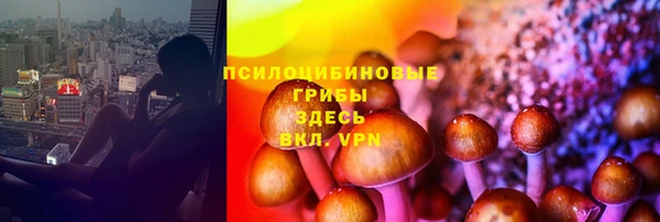 амфетамин Белокуриха
